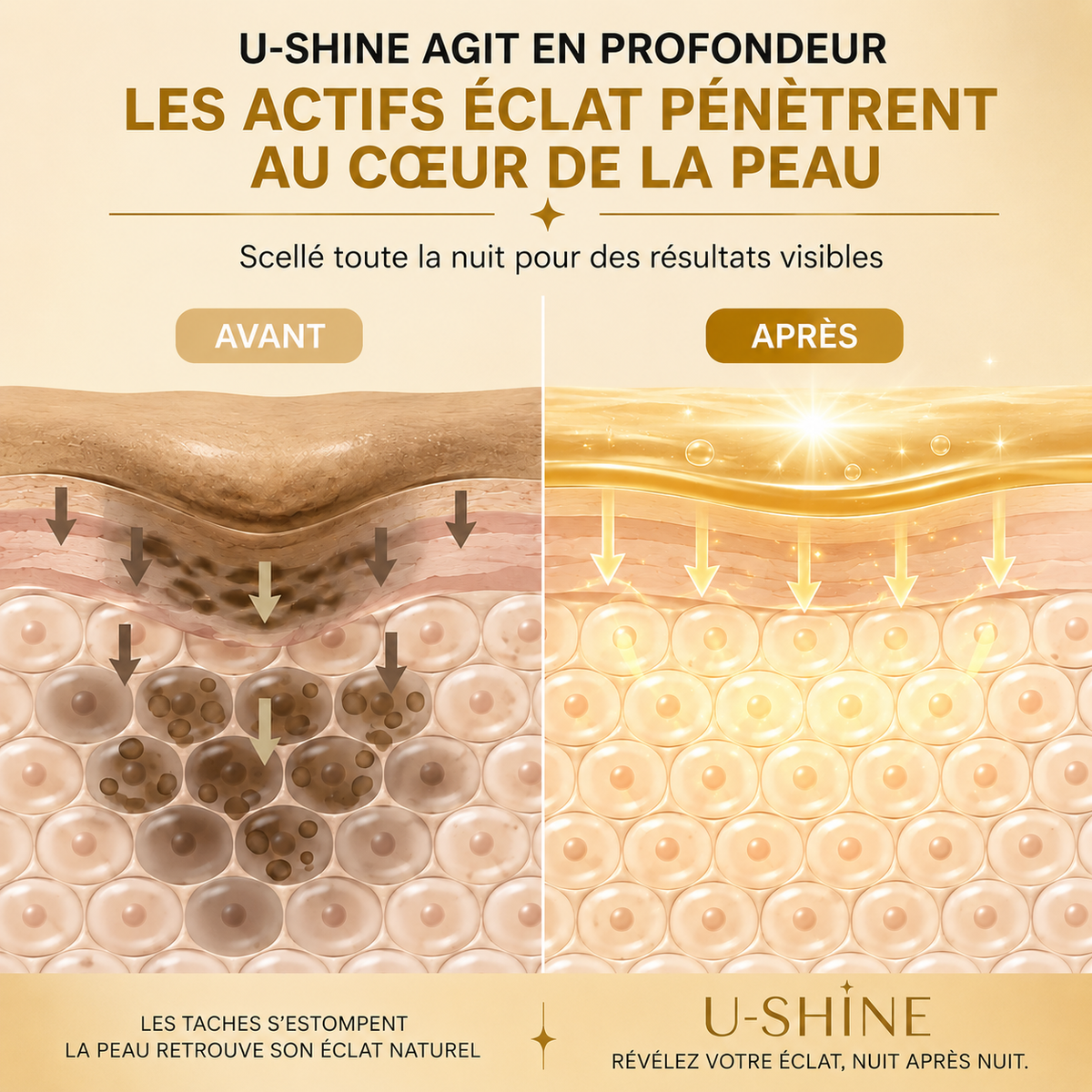 Masque Facial Exfoliant de Nuit